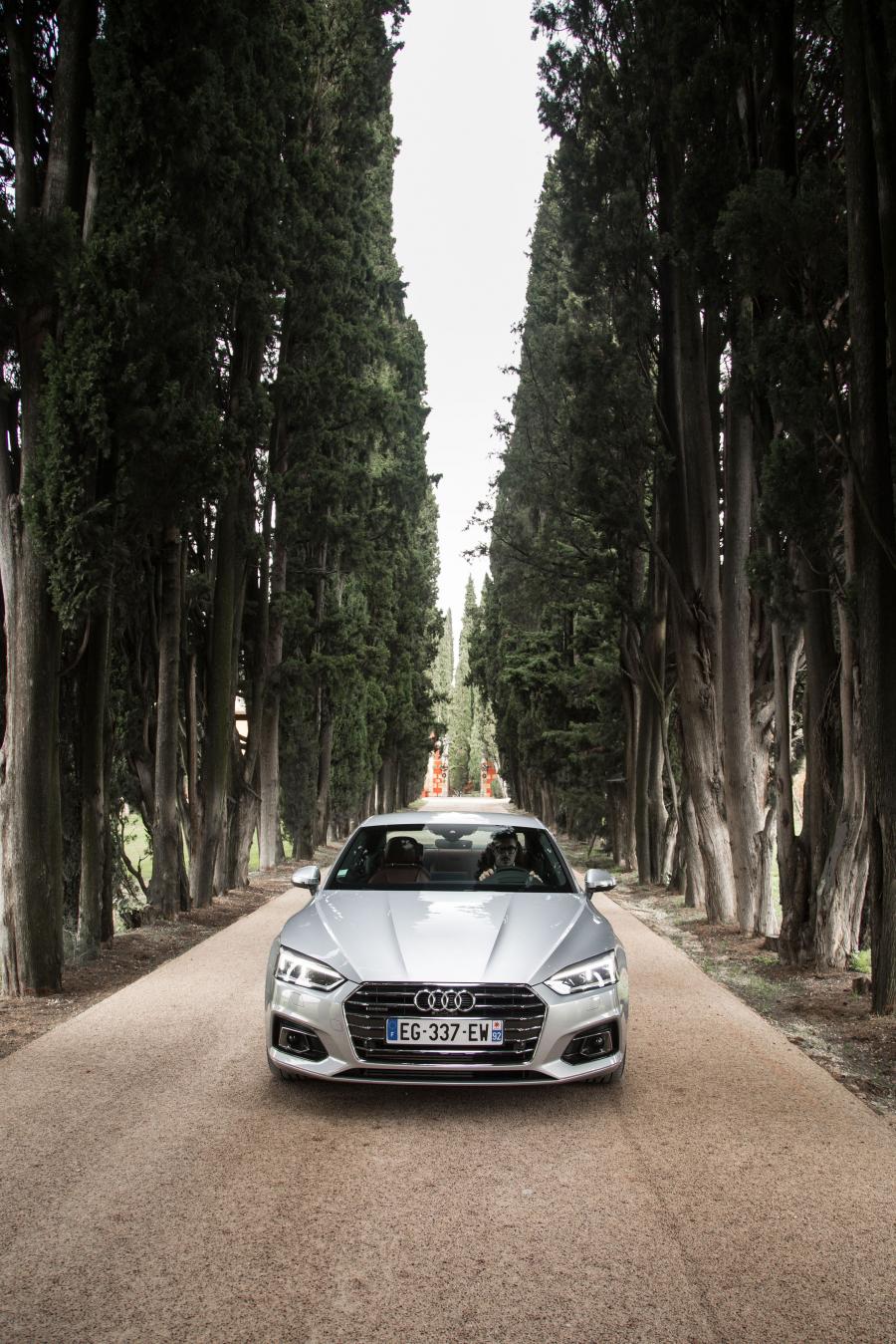  Audi A5 Coupe 2.0 TFSI Quattro 2016 года  (WW) (фото 23 из 30)